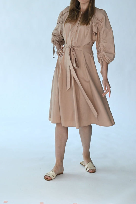 Ruched Sleeve Dress